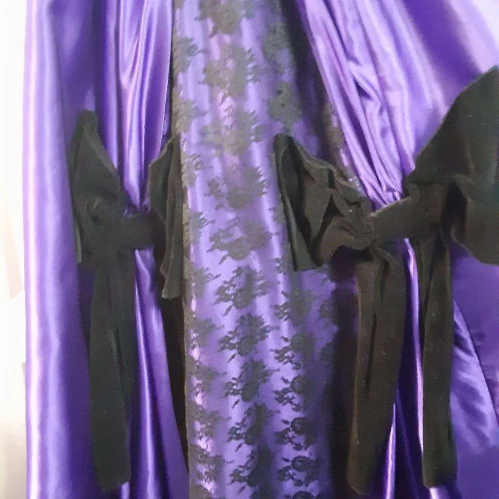 Ashley Nostalgia Gothic Victorian Southern Belle/Wild West Dress - Picture 2 of 7